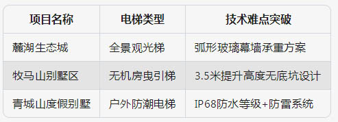 標(biāo)桿項(xiàng)目案例